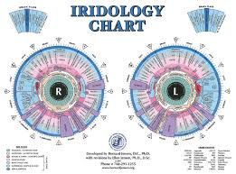 Iridology And Sclerology Forum Iris Eye Diagnosis