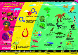 Evolution History Of Life Evolve Kids Charts Science