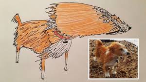 The animals are listed in alphabetical order. Rubbish Pet Portraits Raise 5k For Homeless Bbc News