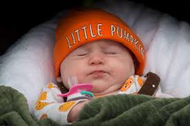 Circleville Pumpkin Show Inc