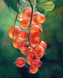 No Photo Description Available Peinture De Nature Morte Nature Morte Aquarelle Art Nature Morte