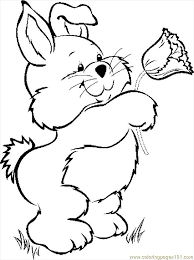Grab the crayons, the paint set or some glue and glitter to have some bunny fun. Bunny Coloring Pages Coloring Home