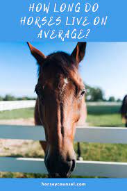 How Long Do Horses Live Horses Horse Age Horse Life