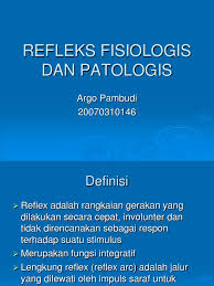 Semua lengkung (jalur refleks) terdiri dari Refleks Fisiologis Dan Patologis
