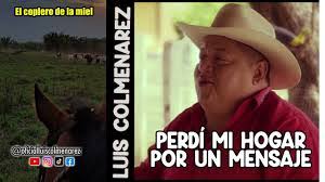 Luis Colmenarez's Instagram, Twitter & Facebook