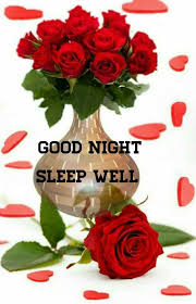 Pin By Anjali On Good Night Good Night Blessings Good Night Sleep Well Good Night Messages