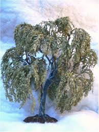 Willow weeping root system growth rate roots rid septic willows planting instructions tank. Weeping Willow Earthscapes By Heath Miniature Fairy Gardens Miniature Plants Miniature Trees