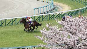 Manage your video collection and share your thoughts. æ¡œèŠ±è³ž C ãƒ«ãƒ¡ãƒ¼ãƒ« å²ä¸Šï¼•äººç›®ã®é€£è¦‡ ã„ã„ãƒšãƒ¼ã‚¹ã‚'ç¶­æŒã§ããŸ ã‚¹ãƒãƒ‹ãƒ Sponichi Annex ã‚®ãƒ£ãƒ³ãƒ–ãƒ«