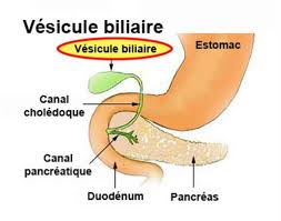 Les conséquences locales et générales sont donc très rapides. Cholecystite Symptomes Traitement Definition Docteurclic Com