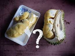 Berbeda dengan durian lokal lainnya yang bijinya cukup besar. Guide To Choosing Durian When It S From Thailand And You Re In Malaysia Singapore Or Other Places With Reasonable Fruit Import Laws Year Of The Durian
