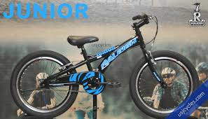 Easy mtb suspension service at home | cycle rider roy. Raleigh Malaysia Kuala Lumpur Top Authorised Dealer Usj Cycles