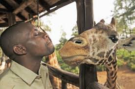 Popular Best Things to Do in Kenya