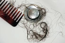 prevent hair clogging your drains