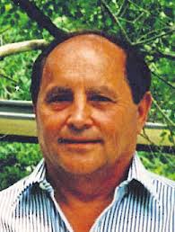 Dying 4-headed palm tree will be cut down