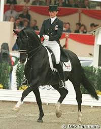 Cdi W Berlin Prime Time Dominated By Olympic Ferro Eurodressage Dressage Horses Equestrian Equestrian Life