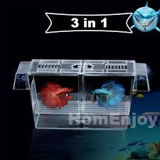 A community tank is an aquarium that houses multiple species of compatible fish. Acrylic Aquarium 3 In1 Suspension Breeding Hatchery Isolation Box With 2 Layers Incubator Fishbowl For Guppy Betta Fish Aquarium Controller Aquarium Plants For Saleaquarium Sheet Aliexpress