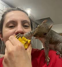 My baby squirrel needs a name 🐿️