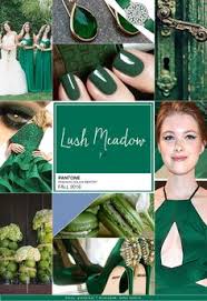 Hex #00a572 rgb 0 165 114 army green codes: 32 Kelly Green Ideas Style Fashion Clothes