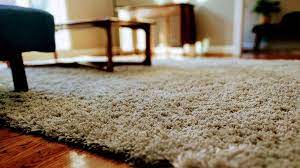 Simply sprinkle some salt on the old stain after which you can scrub the stain out. How To Get Rid Of Tough Carpet Stains Yes Even Cat Pee Cnet