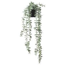 Https Www Ikea Com No No P Fejka Kunstig Potteplante Inne Ute Hengende Eukalyptus 70466811 Ikea Artificial Potted Plants Artificial Plant Wall Ikea Plants