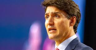 If Donald Trump turns the coronavirus pandemic into a trade war, Justin  Trudeau knows just how to fight it