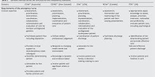 This practice includes working in a Practice Standards For Emergency Nursing An International Review Semantic Scholar