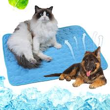 Check spelling or type a new query. Amazon Com Pet Heating Pad By Snuggle Safe With Pet Bowl Microwavable Pet Warmer Pad Animal Heating Pads 1 Pack Collapsible Bowl Kitchen Dining