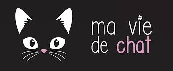 Pourquoi Les Chats Aiment Ils Tant Les Olives
