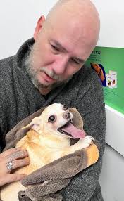 For Andrew Kuzyk, it was just another quiet evening at home — until his  two-legged Chihuahua, Champ, suddenly leapt onto his chest and let out an  urgent, unfamiliar whine. Moments later, Andrew