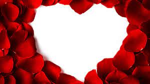 Weiß herz in rot glänzt stockvektor bonnyheizegmailcom 109054522. Foto Valentinstag Herz Rot Kronblatter Blumen Vorlage 1920x1080