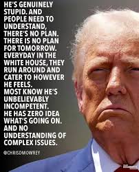 Voting for Independent Ellie Smith or Labor Candidate Ali France