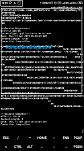 Blog tentang cara internet gratis, cara bobol wifi, aplikasi internet gratis, trik hp android, trik pc, aplikasi terbaru, trik game android, cara cheat game. Tutorial Internet Gratis Kartu Indosat Ooredoo Opok Dengan Termux Kumpulan Remaja