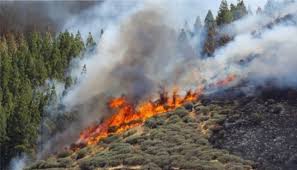 Google has many special features to help you find exactly what you're looking for. Dasikh Pyrkagia Sthn Limnh Eyboias