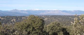 Carretera de el cristo de el pardo s/n. Der Hutewald El Monte De El Pardo In Madrid Madrid Sehenswurdigkeiten