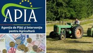 Check spelling or type a new query. Apia A Inceput PlÄƒÅ£ile In Avans Pentru Schemele De PlÄƒÅ£i Directe Oradea In Direct
