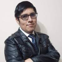 Javier Enrique Alvites Contreras