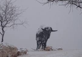 Lubbock Lake Landmark Lubbock Texas West Texas Trip Advisor