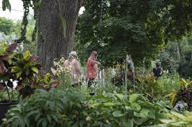 Последние твиты от the iowa garden (@iowagarden). Open Garden Tours Bring Inspiration To Iowa City Gardeners The Daily Iowan