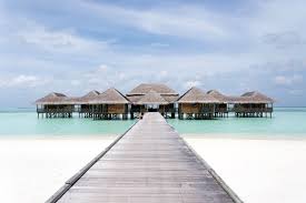 See photos, profile pictures and albums from butterbean beach. My Detox Kitchen Experience Mondomulia