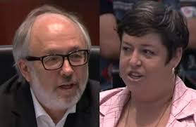 Joe Mihevc, Robin Buxton Potts appointed to fill Toronto city council  vacancies