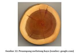Penimbunan terbuka terdapat berbagai hama dan. Bahan Non Logam Kayu Bukusekolah Net