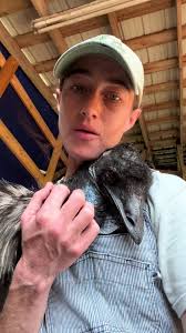 Emmanuel The Emu Rockstar