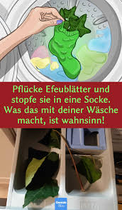Pin Von Wildlife Beads Auf Nachhaltig In 2020 Mit Bildern Hausreinigungs Tipps Naturliche Waschmittel Putzmittel Selbstgemacht