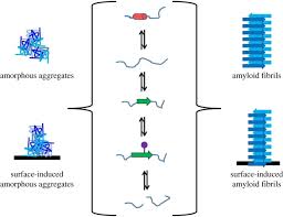 Chemical modifications, protein activity, and longevity. Factors Affecting The Physical Stability Aggregation Of Peptide Therapeutics Interface Focus
