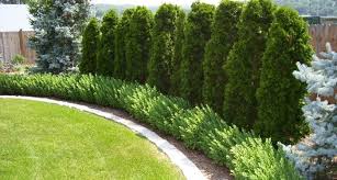 To keep your garden design consistent, we recommend you shop edging and coping stones by range. Garden Edging Ideas