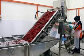 In malaysia, the food industry is dominated by small and medium scale companies. Eng Sheng Es Food Industries
