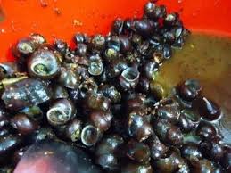 Check spelling or type a new query. Kuliner Bumiayu Wisata Dan Kuliner
