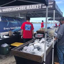 Fishers at the tuna harbor dockside market are peter and luke halmay, david haworth, johnny glawson, dan major, shane slaughter, nick haworth, the fukushima. Photos At Tuna Harbor Dockside Fish Market Marina 1 Tip