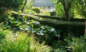 Cottage garden flowers margery fish. Eghn Der Cottage Garten Von Margery Fish