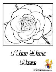 New York State Flower Coloring Page Rose Rose Coloring Pages Coloring Pages Flower Coloring Pages